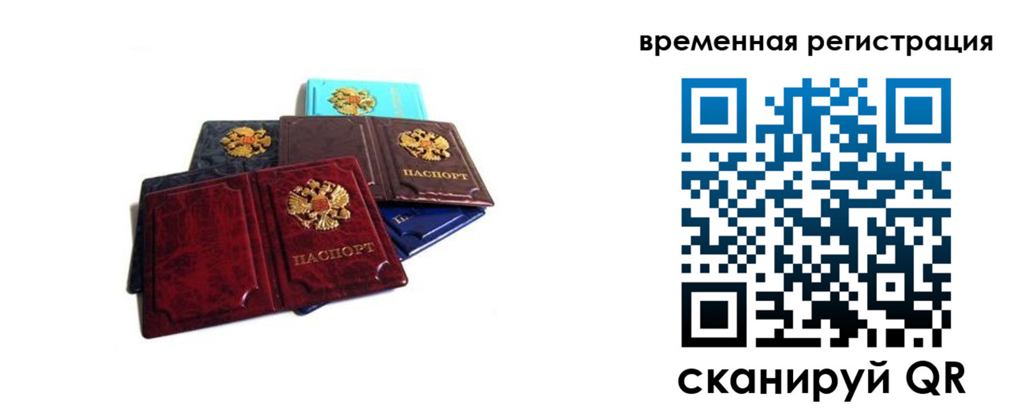 прописка гарантия в Семикаракорске
